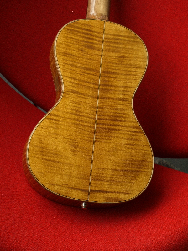 Maple back stained as a violin 