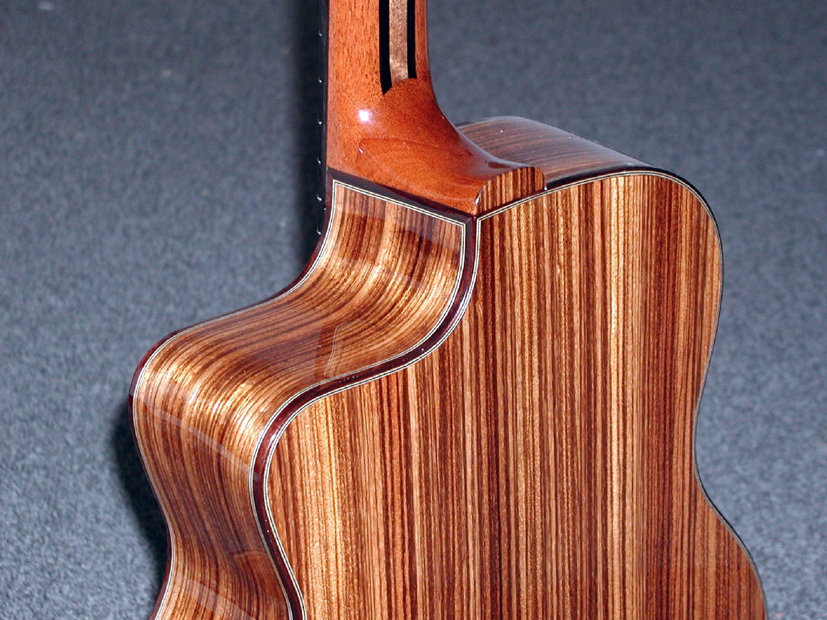 Nylon string gypsy guitar