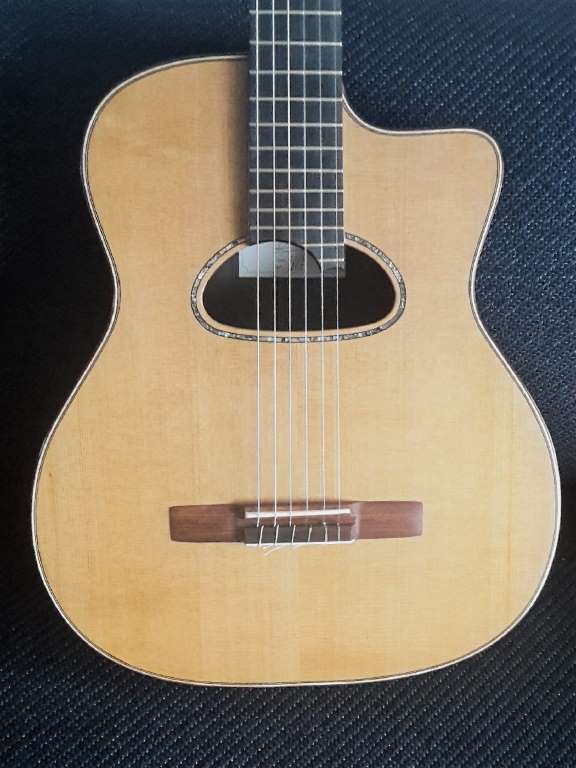 Nylon string gypsy guitar