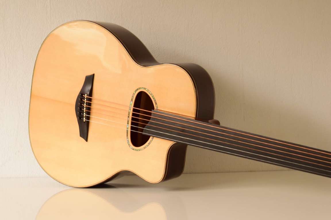 Baritone acoustic fretless 