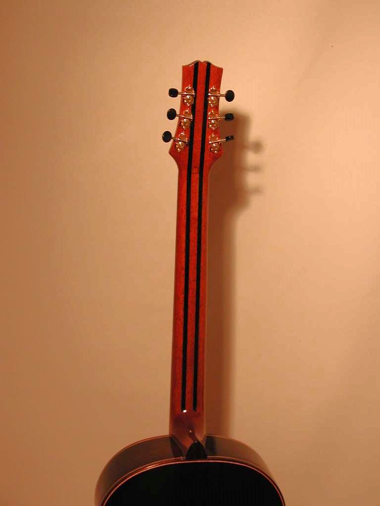 Acoustic Baritone