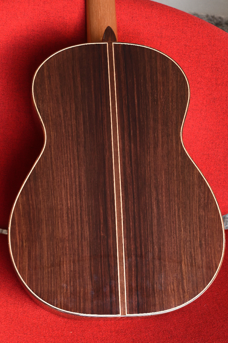Back Indian rosewood 
